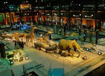 france/versailles/attraction/gallery-of-evolution