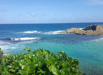 puerto-rico/manati/attraction/playa-las-golondrinas
