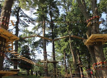 pennsylvania/upper-delaware-valley/attraction/treetop-adventures