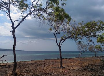 indonesia/east-nusa-tenggara/attraction/monkeys-cave-and-natural-park