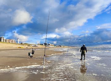 netherlands/egmond-aan-zee/attraction/zeevissen-in-egmond-aan-zee