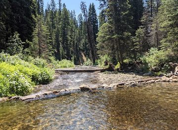 idaho/panhandle/attraction/payette-national-forest
