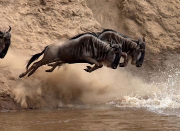 tanzania/arusha/attraction/african-heroes-tours