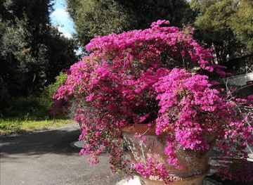 new-zealand/blenheim/attraction/henderson-street-reserve