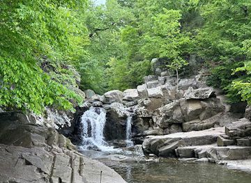 maryland/capital-region/attraction/scott-s-run-nature-preserve
