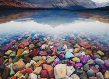 australia/noosa/attraction/lake-macdonald