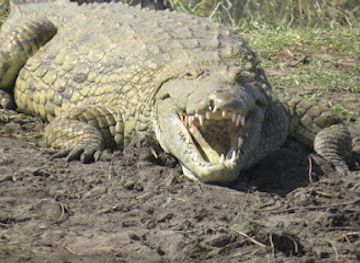 malawi/mangochi/attraction/smaltoursafari