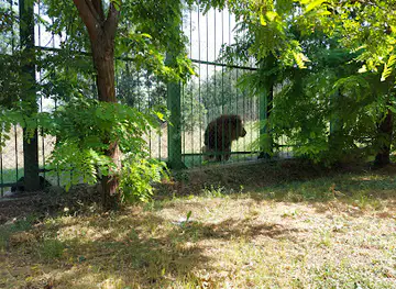 Grădina Zoologică-Pădurea Gârboavele