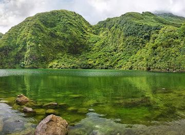 dominica/indian-river/attraction/dm-s-taxi