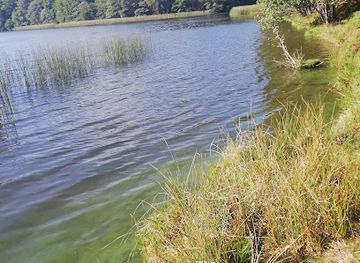 denmark/viborg/attraction/vedso