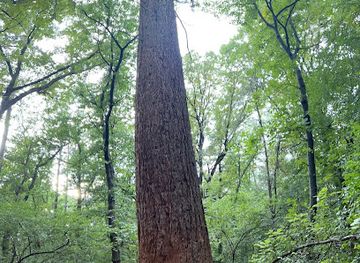 bulgaria/sofia-region/attraction/danovistkoto-darvo