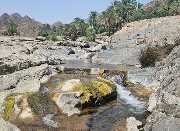oman/al-buraymi-governorate/attraction/wadi-kadra