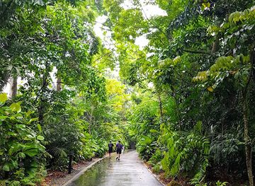 singapore/holland-village/attraction/learning-forest