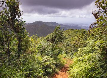 grenada/seven-sisters-falls/attraction/mount-qua-qua