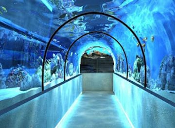 ukraine/kyiv/holosiivskyi-district/attraction/the-oceanarium-sea-fairy-tale