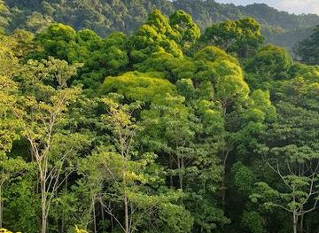 costa-rica/manuel-antonio/attraction/oro-verde-birdwatching-uvita