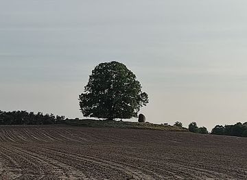 germany/mecklenburg/attraction/monolith