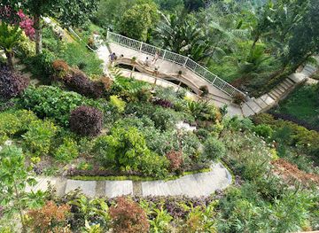 philippines/cebu-city/attraction/florentino-s-eco-park