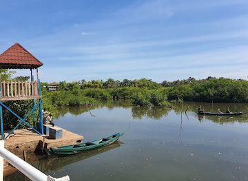 the-gambia/western-region/attraction/kotu-bridge