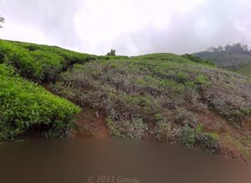 india/munnar/attraction/munnar-hill