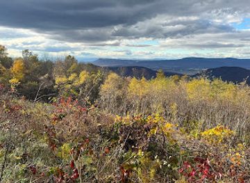 virginia/shenandoah-national-park/attraction/swift-run-overlook