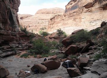 utah/canyonlands-national-park/attraction/petrified-dunes