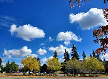 washington/everett/attraction/mukilteo-beach