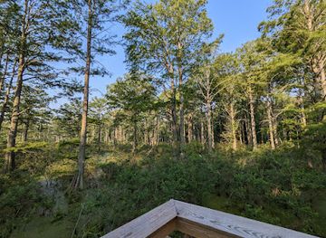 indiana/southern-indiana/attraction/twin-swamps-nature-preserve