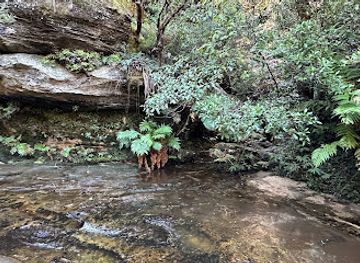 australia/blue-mountains-national-park/attraction/nature-track