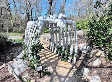 south-carolina/caesars-head-state-park/attraction/bob-campbell-geology-museum