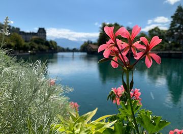 switzerland/thun/attraction/rathausquai-aussichtspunkt