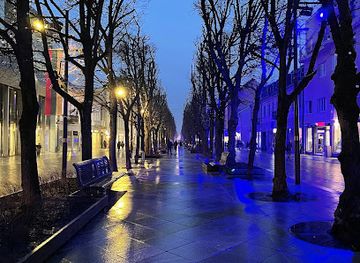 lithuania/kaunas-region/attraction/laisves-aleja