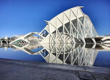 spain/valencia/attraction/museo-de-las-ciencias-principe-felipe