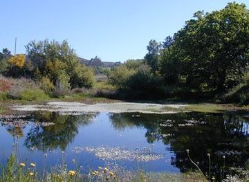 portugal/viana-do-castelo/attraction/corno-do-bico-protected-landscape