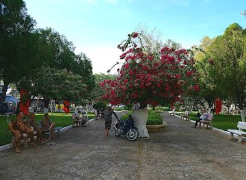 vietnam/nha-trang/attraction/studio-gallery-long-thanh-art