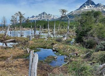argentina/ushuaia/attraction/reserva-natural-valle-tierra-mayor