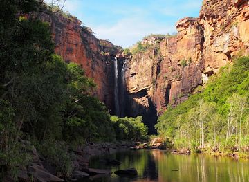 australia/kakadu-national-park/attraction/animal-tracks-safari