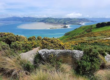 new-zealand/otago/attraction/natures-wonders