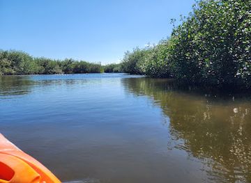 florida/space-coast/attraction/ulumay-wildlife-sanctuary