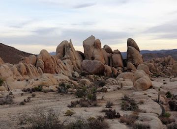 california/joshua-tree-national-park/attraction/arch-rock-nature-trail