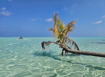 maldives/vaavu-atoll/attraction/fohtheyo-bodufushi-maldives