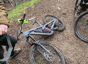 chile/punta-arenas/attraction/patagon-park