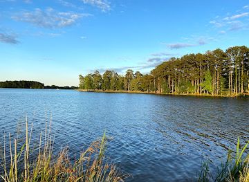 mississippi/the-hills/attraction/lake-lincoln-state-park