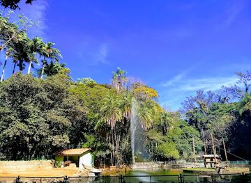 brazil/zona-da-mata/attraction/jequitiba-woods-park