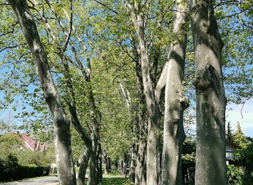 hungary/lake-balaton/attraction/kettos-platansor