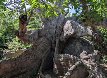 curacao/westpunt/attraction/hofi-pastor-curacao
