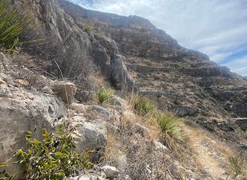 new-mexico/carlsbad-caverns-national-park/attraction/carlsbad-caverns-wilderness