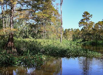 mississippi/south-mississippi/attraction/eco-tours-of-south-mississippi