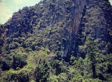 laos/vang-vieng/attraction/bamboo-bridge