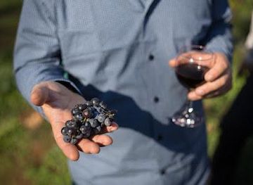 montenegro/bar/attraction/jablan-winery-montenegro